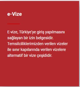 E-Vize nedir?